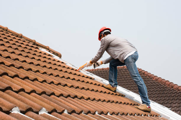 Best Asphalt Shingle Roofing  in Muscatine, IA